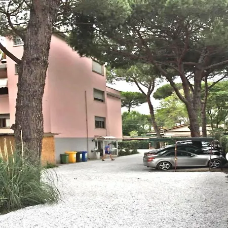 Storyville Winter شينكْوالي